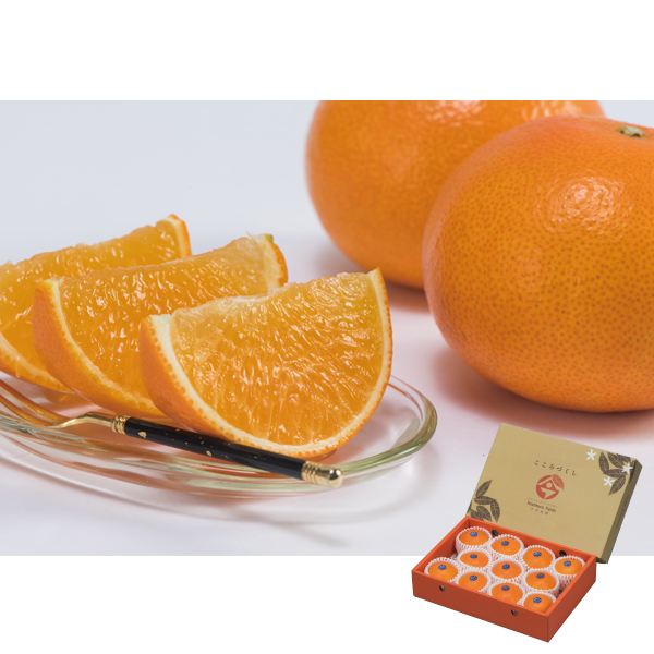 nz _ Ђ܂ (T10A00030191)y͂ԁF12{`12{z